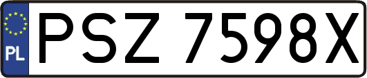 PSZ7598X