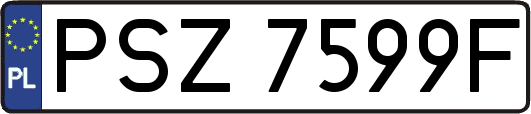 PSZ7599F