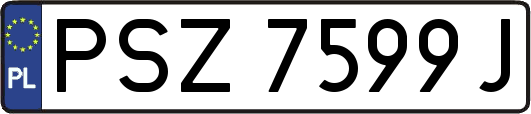 PSZ7599J