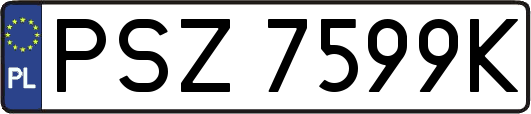 PSZ7599K