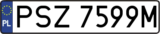 PSZ7599M