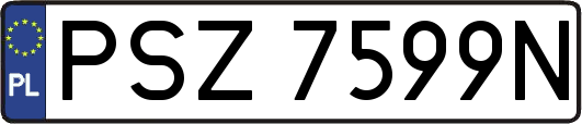 PSZ7599N