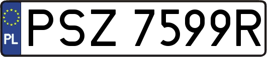 PSZ7599R