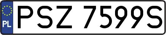 PSZ7599S