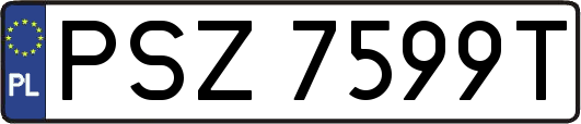 PSZ7599T