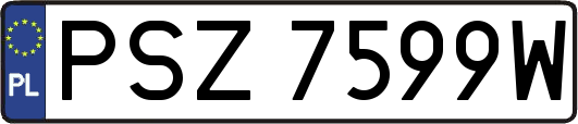 PSZ7599W