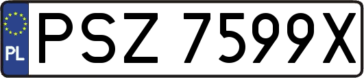 PSZ7599X