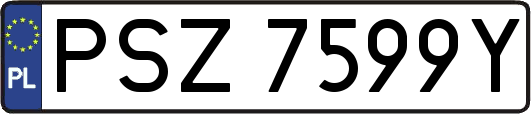 PSZ7599Y