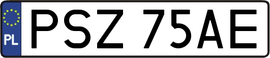 PSZ75AE
