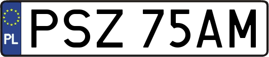 PSZ75AM