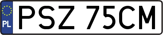 PSZ75CM