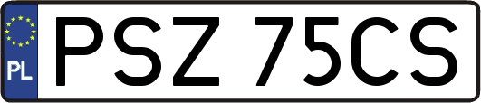 PSZ75CS