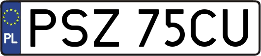 PSZ75CU