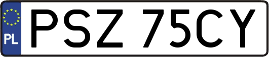 PSZ75CY