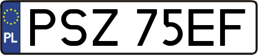 PSZ75EF