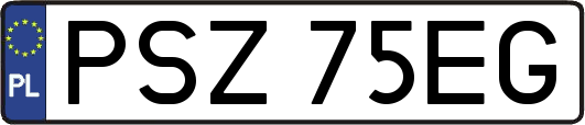 PSZ75EG