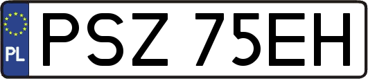 PSZ75EH