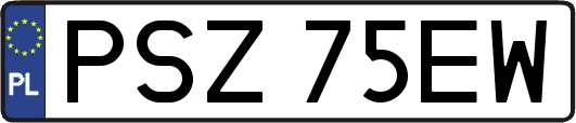 PSZ75EW