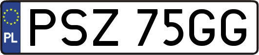 PSZ75GG
