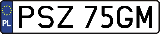 PSZ75GM
