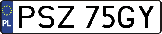 PSZ75GY
