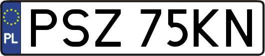 PSZ75KN