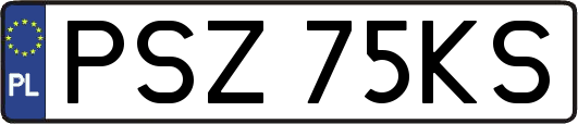 PSZ75KS