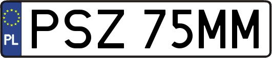 PSZ75MM