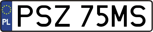 PSZ75MS