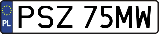 PSZ75MW