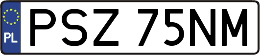 PSZ75NM