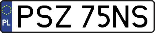 PSZ75NS