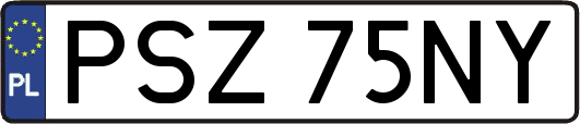 PSZ75NY