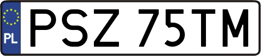 PSZ75TM