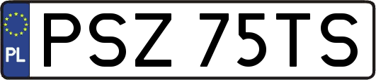 PSZ75TS