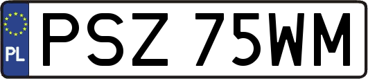 PSZ75WM