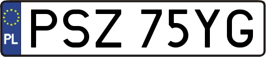 PSZ75YG