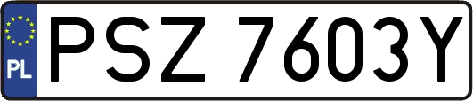 PSZ7603Y