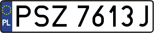 PSZ7613J