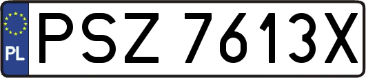 PSZ7613X