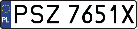 PSZ7651X