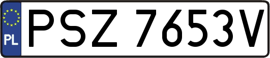 PSZ7653V