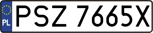 PSZ7665X
