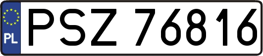 PSZ76816