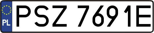 PSZ7691E