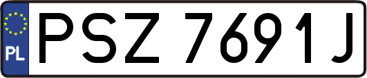 PSZ7691J