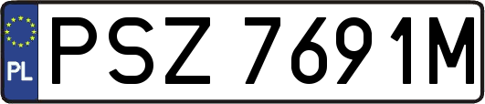 PSZ7691M