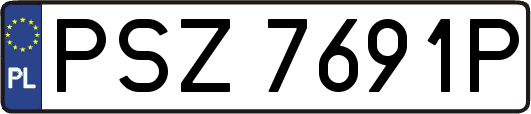 PSZ7691P