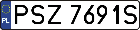 PSZ7691S