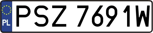PSZ7691W